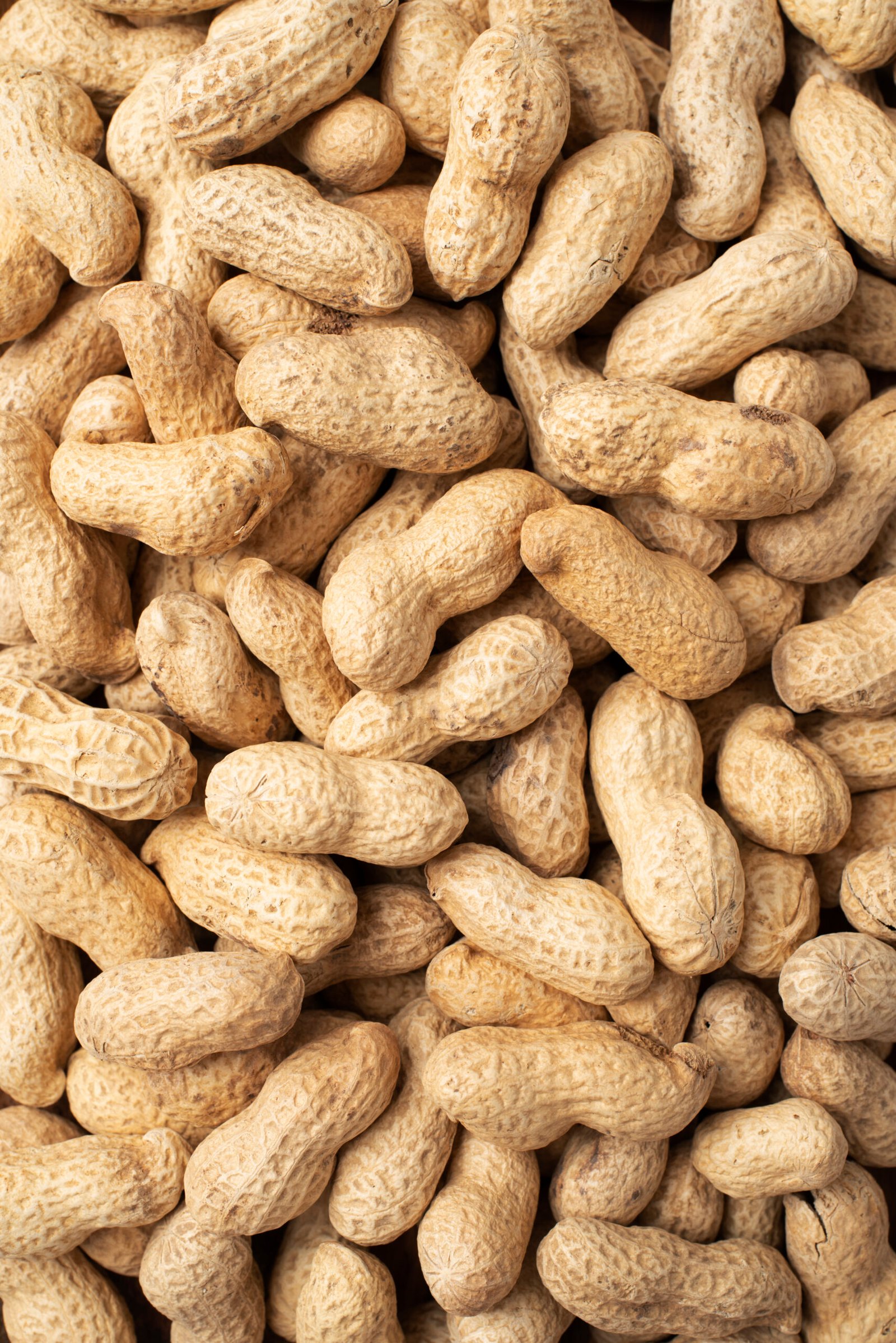 common food that can cause allergic reactions people